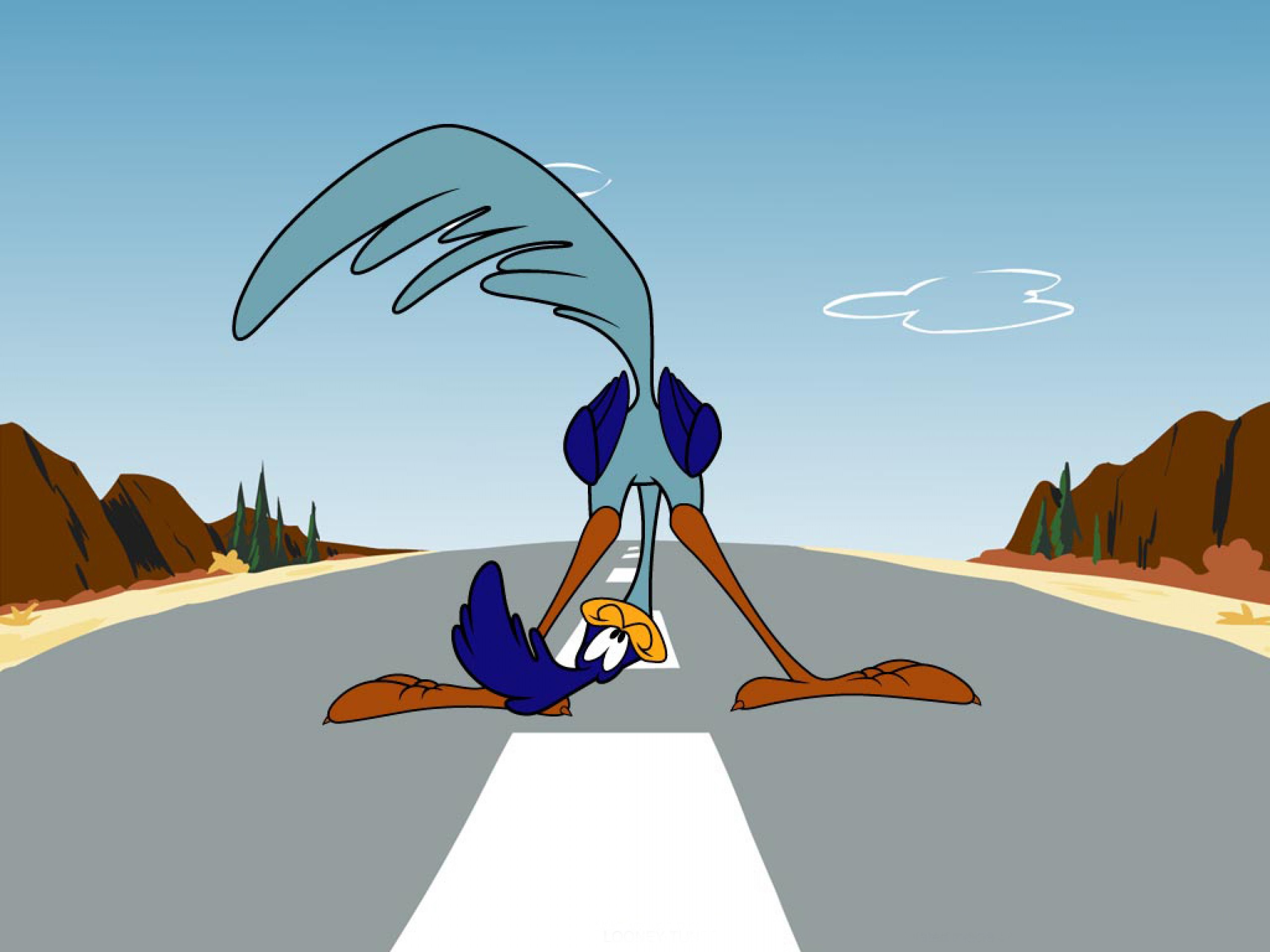 Nice wallpapers Wile E. Coyote And The Road Runner 2560x1920px