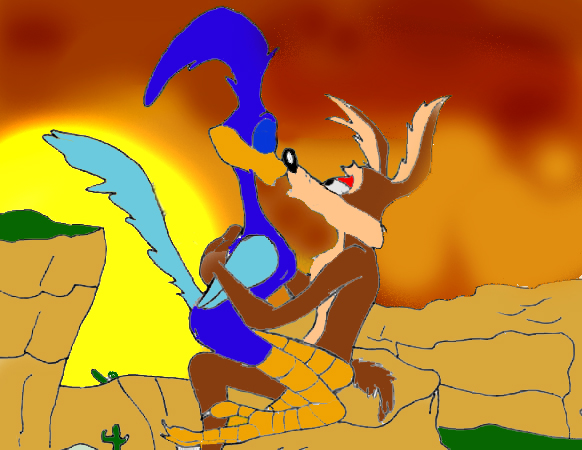 Images of Wile E. Coyote And The Road Runner | 582x450