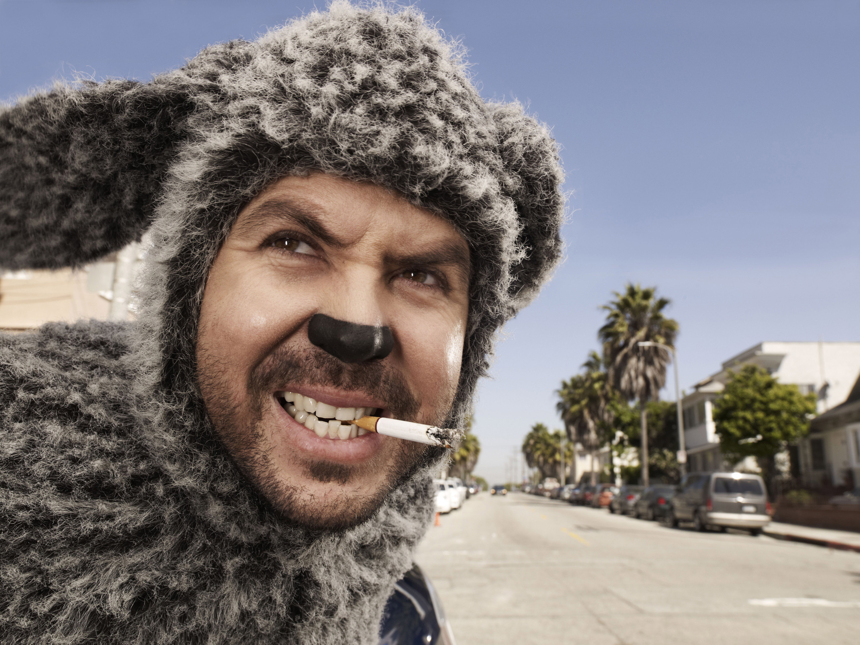 Wilfred Pics, TV Show Collection