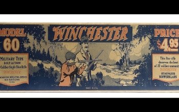 Nice wallpapers Winchester Model 60 350x219px