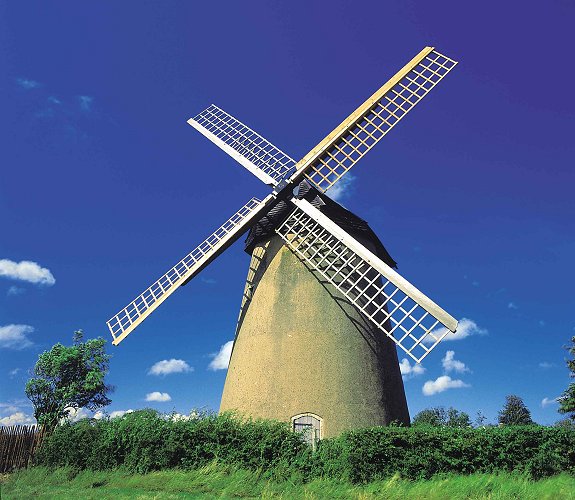 Windmill #21