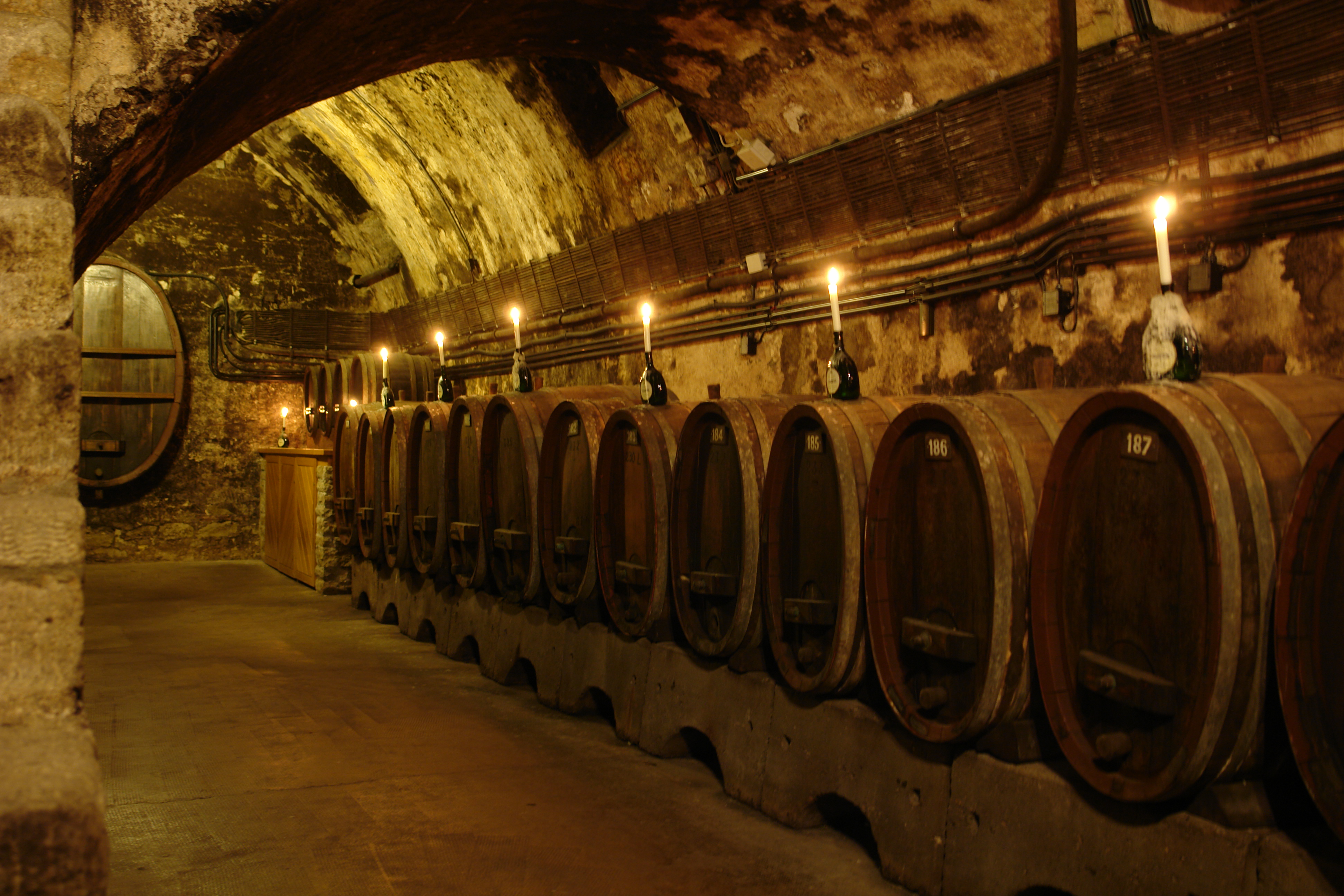 Wine Cellar #16