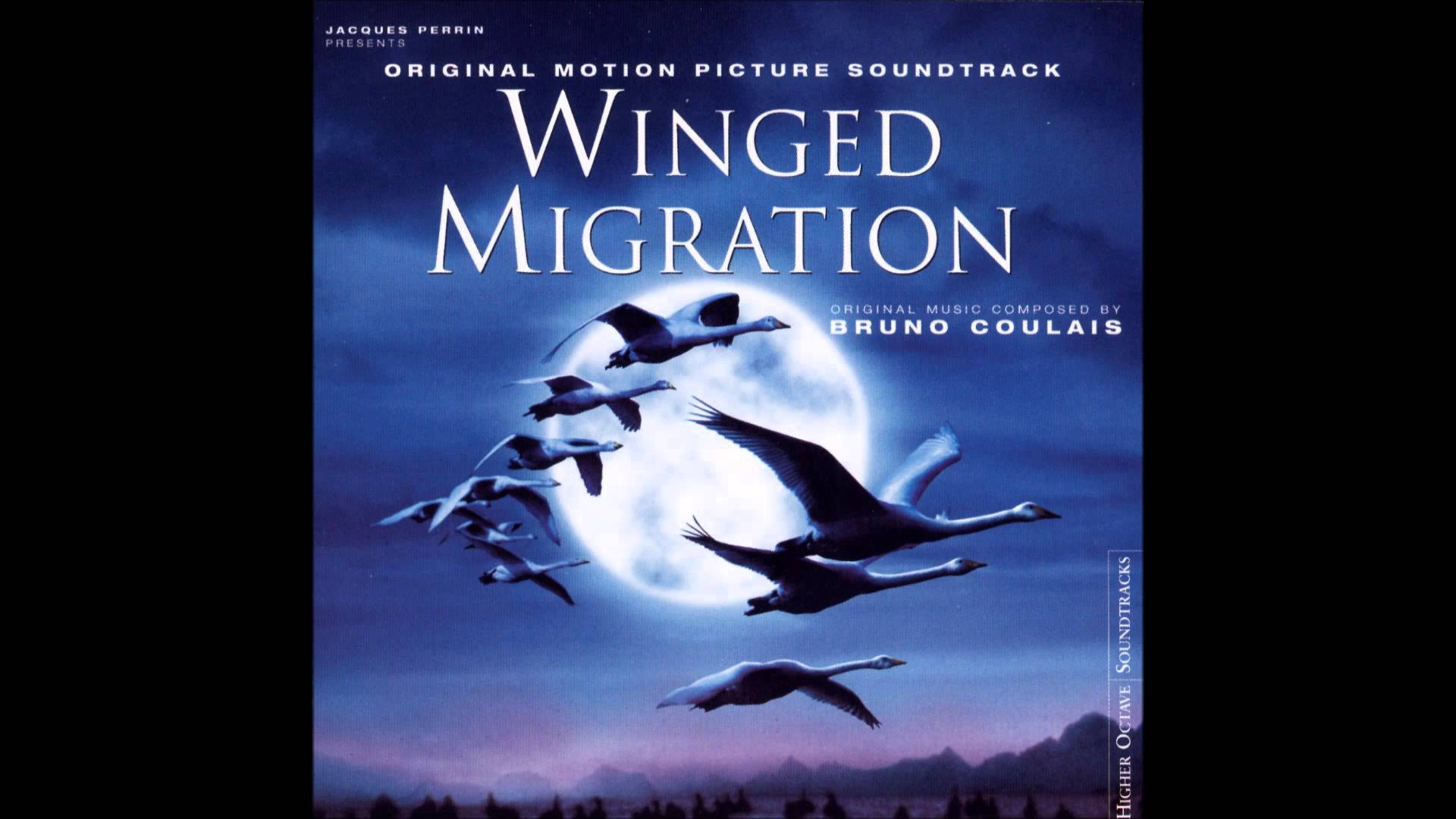 HQ Winged Migration Wallpapers | File 118.96Kb
