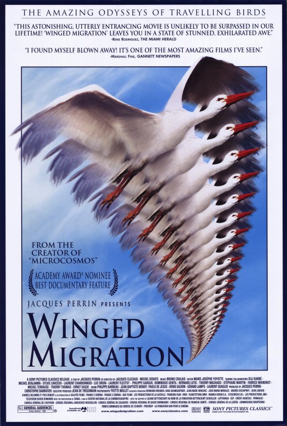 Winged Migration HD wallpapers, Desktop wallpaper - most viewed