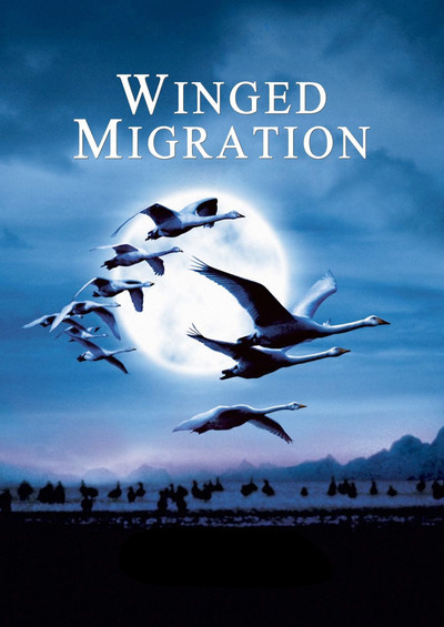 HD Quality Wallpaper | Collection: Movie, 400x565 Winged Migration