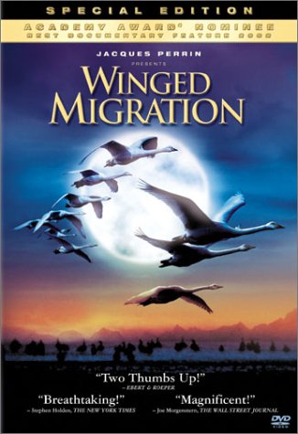 Winged Migration High Quality Background on Wallpapers Vista