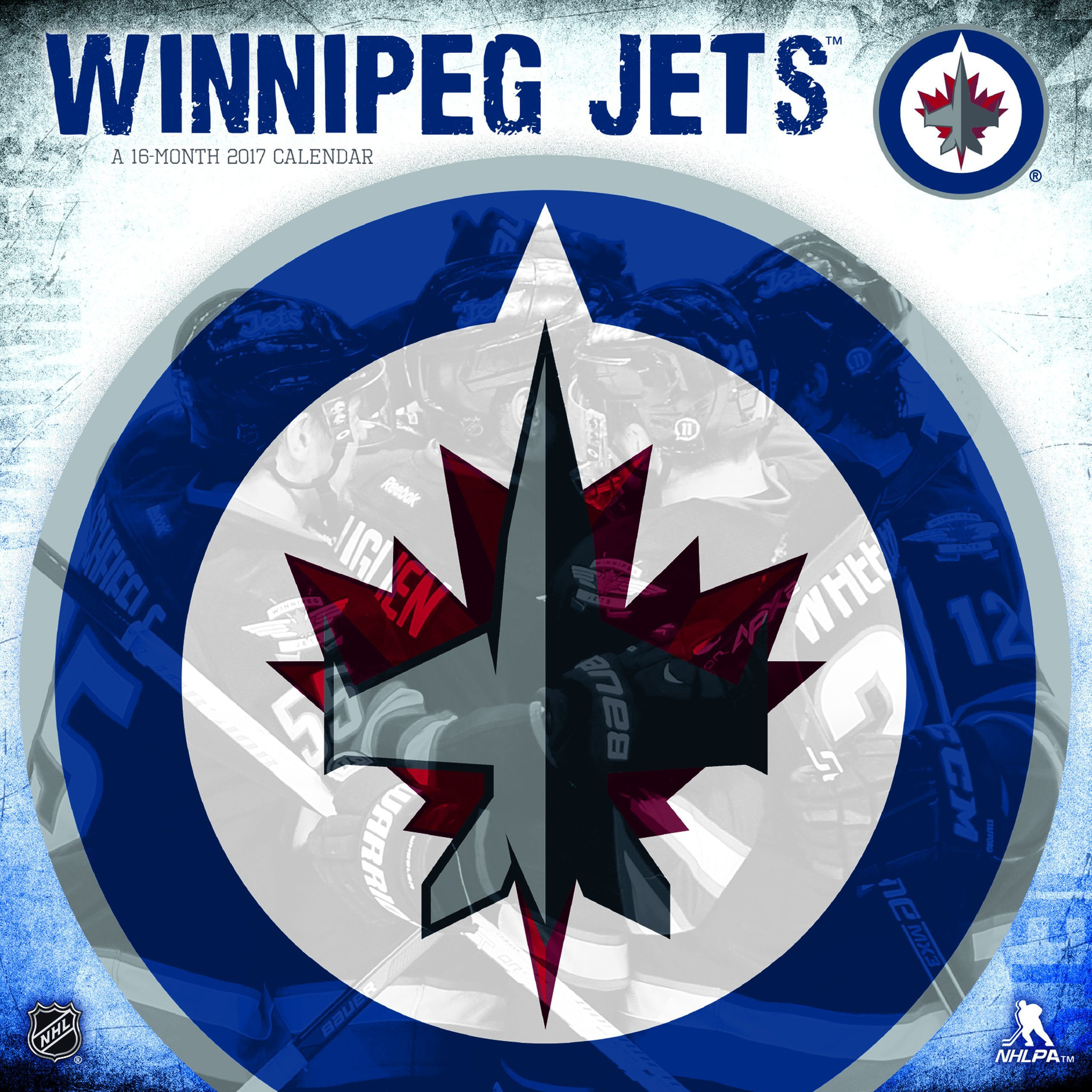 Images of Winnipeg Jets | 2048x2048
