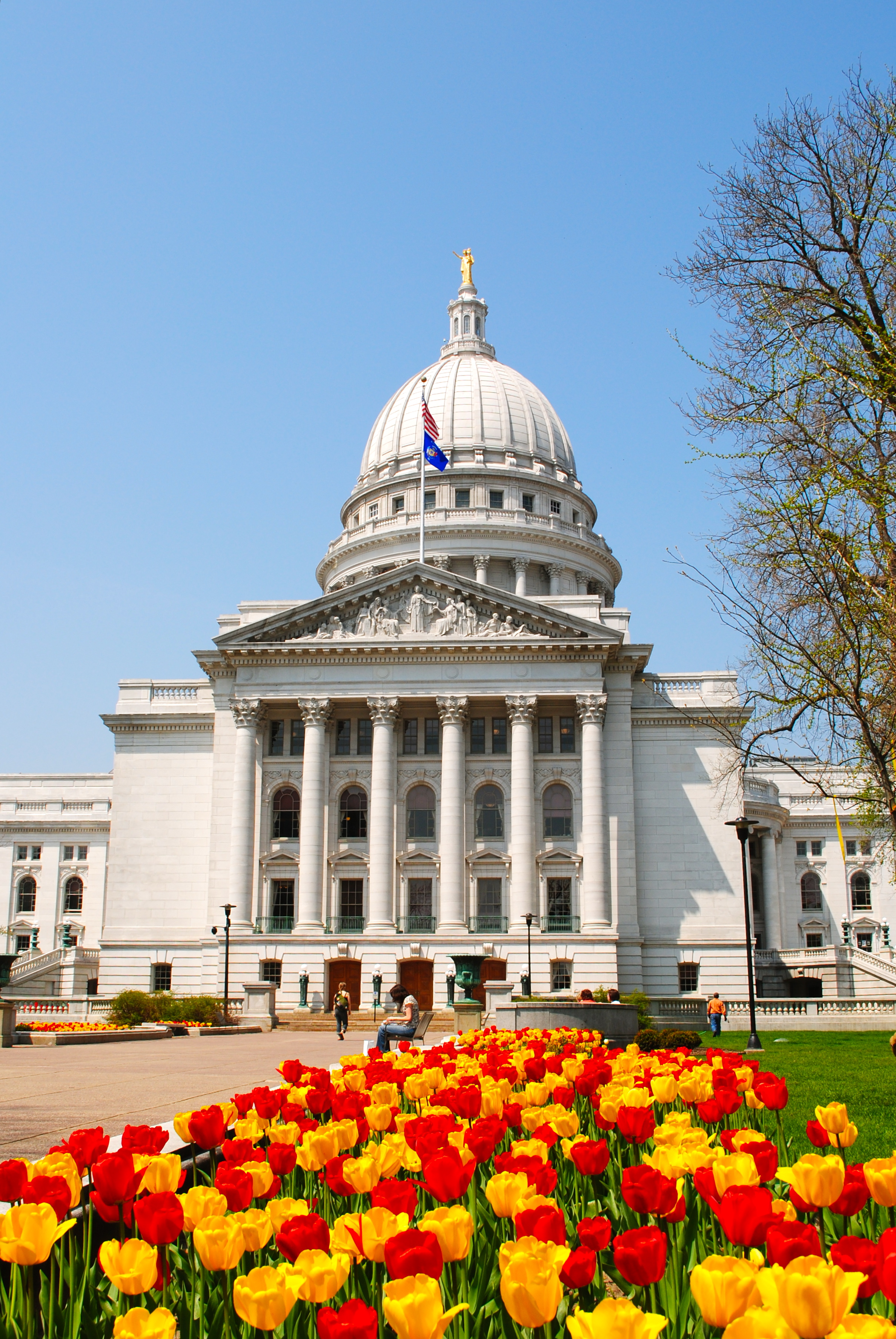 High Resolution Wallpaper | Wisconsin State Capitol 2375x3548 px