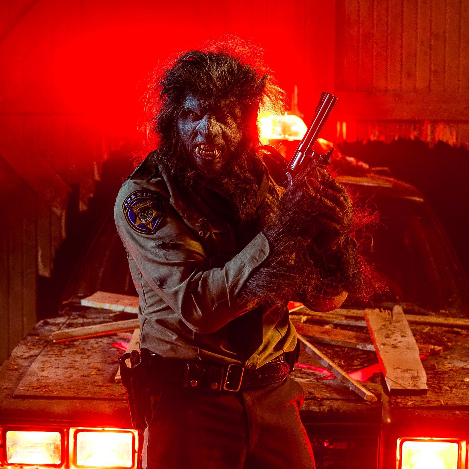 WolfCop Backgrounds, Compatible - PC, Mobile, Gadgets| 1639x1639 px