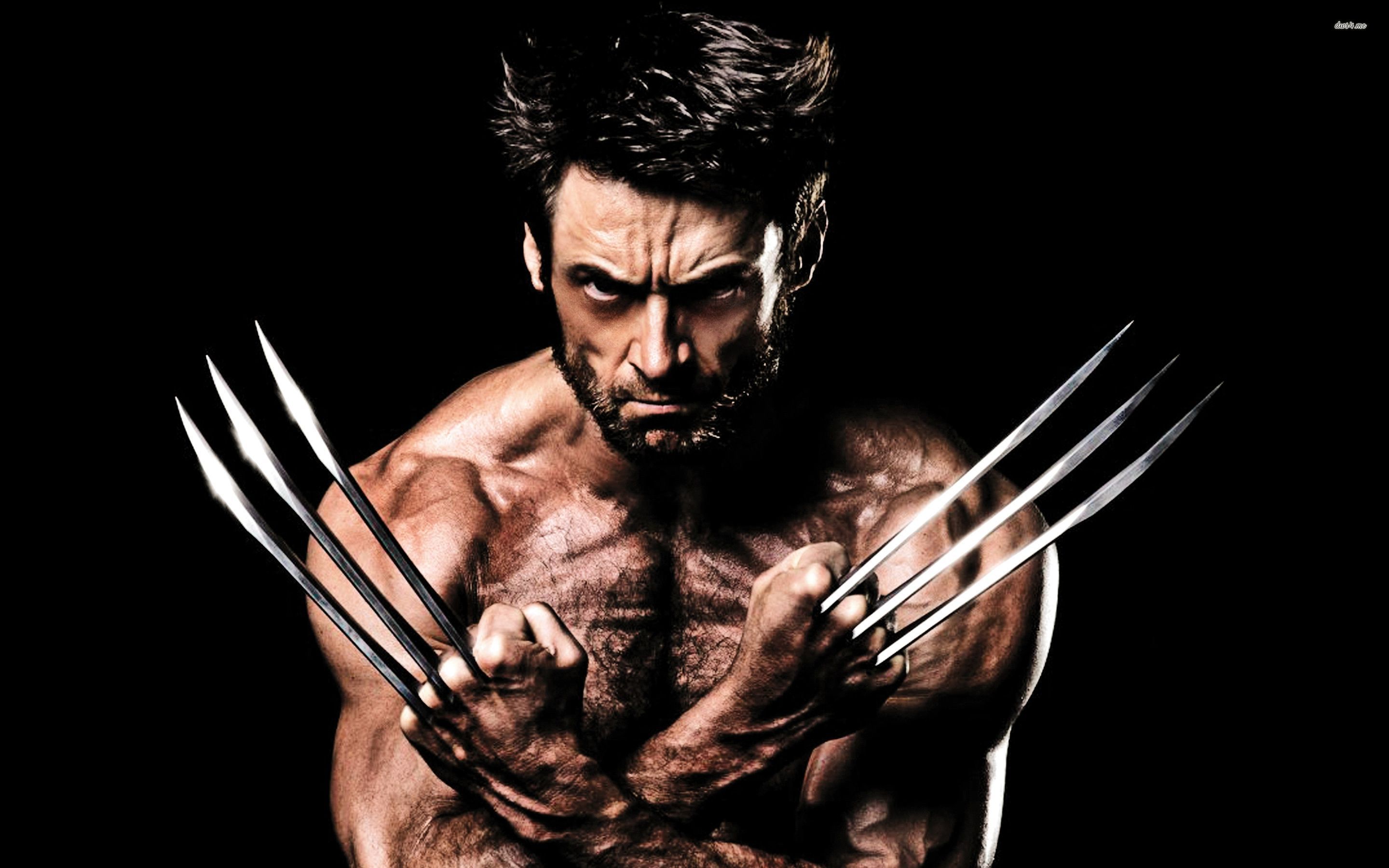 Wolverine High Quality Background on Wallpapers Vista