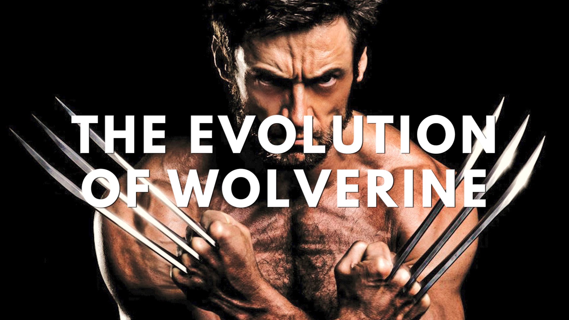 Nice Images Collection: Wolverine Desktop Wallpapers