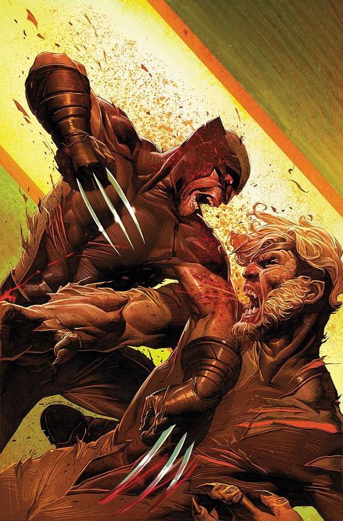 Wolverine Vs. Sabretooth #13
