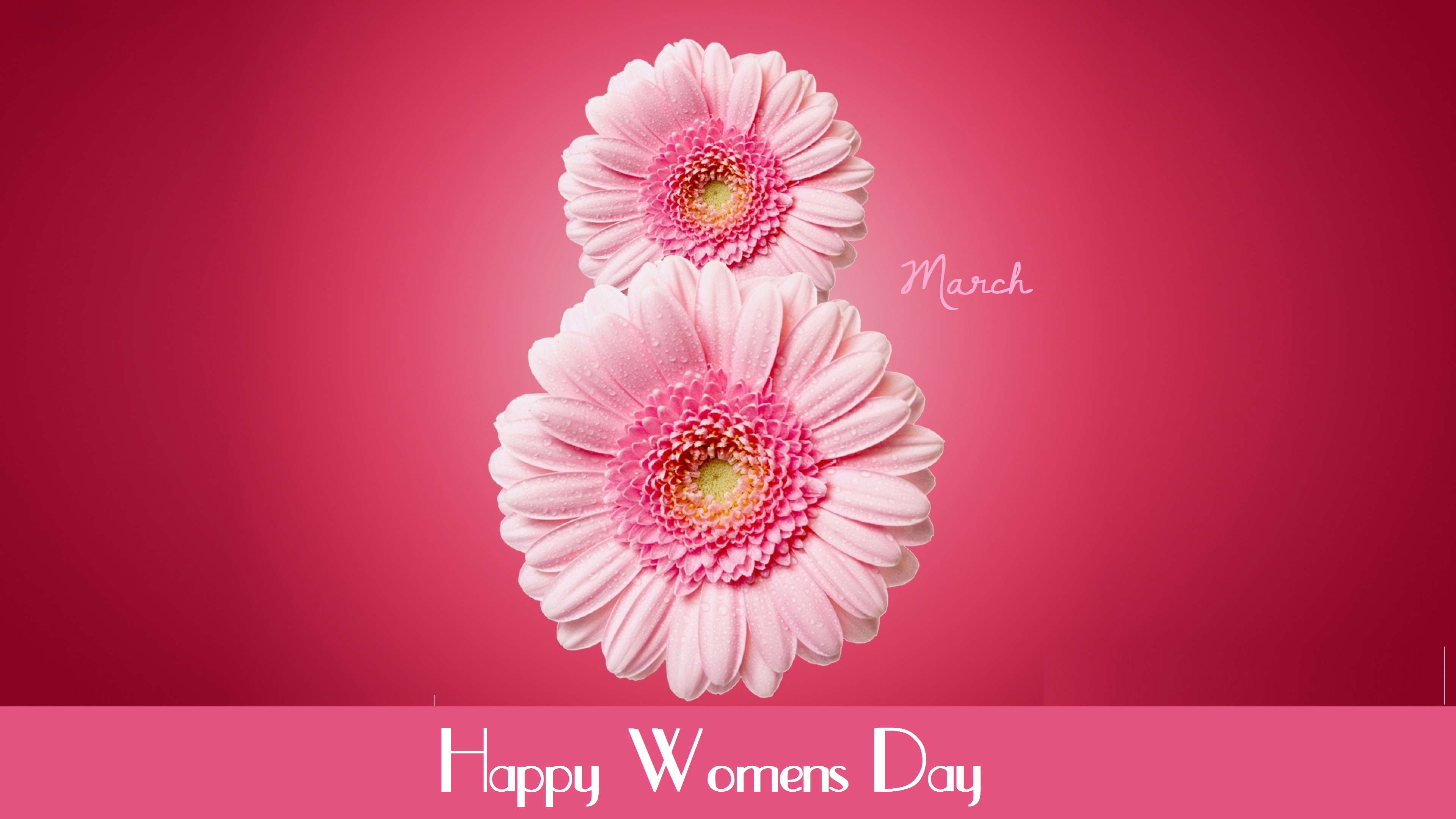 Women's Day High Quality Background on Wallpapers Vista