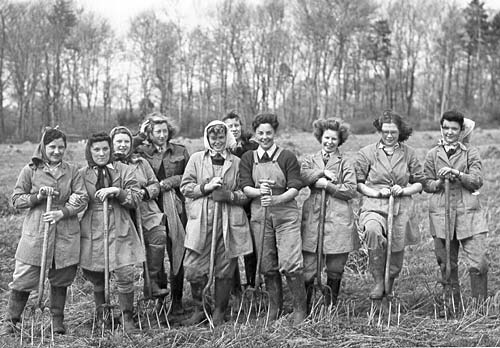 Women's Land Army #17