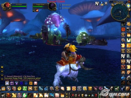 World Of Warcraft: The Burning Crusade #8