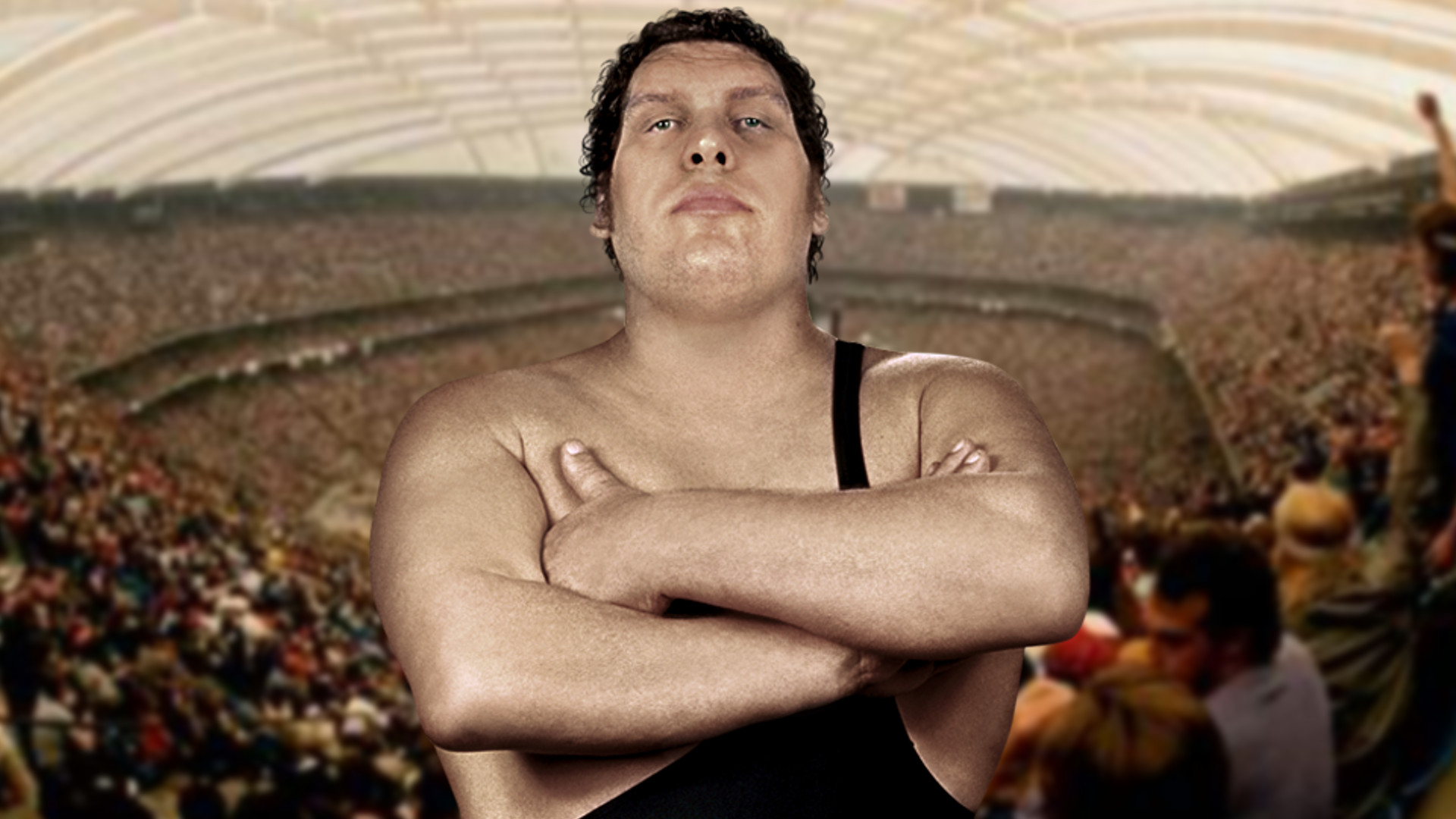 WrestleMania III Backgrounds, Compatible - PC, Mobile, Gadgets| 1920x1080 px