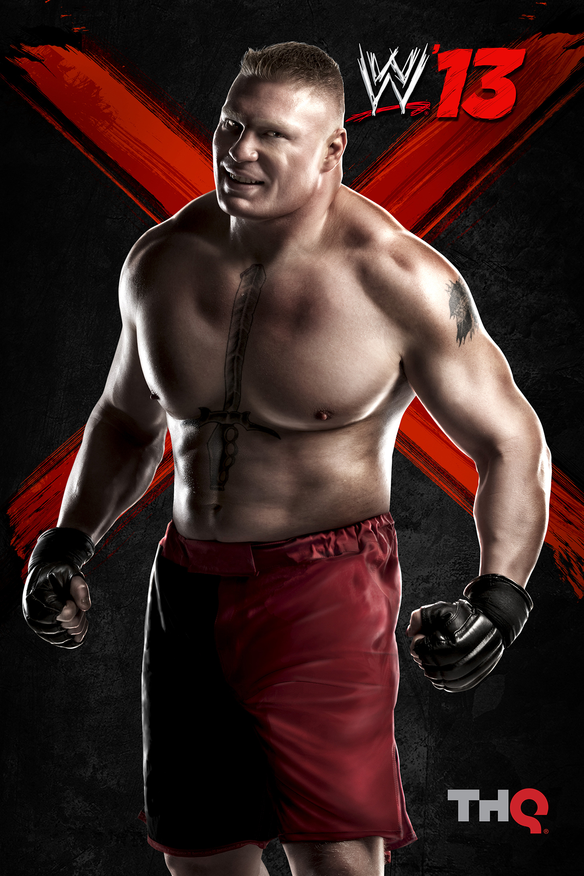 WWE '13 Pics, Video Game Collection