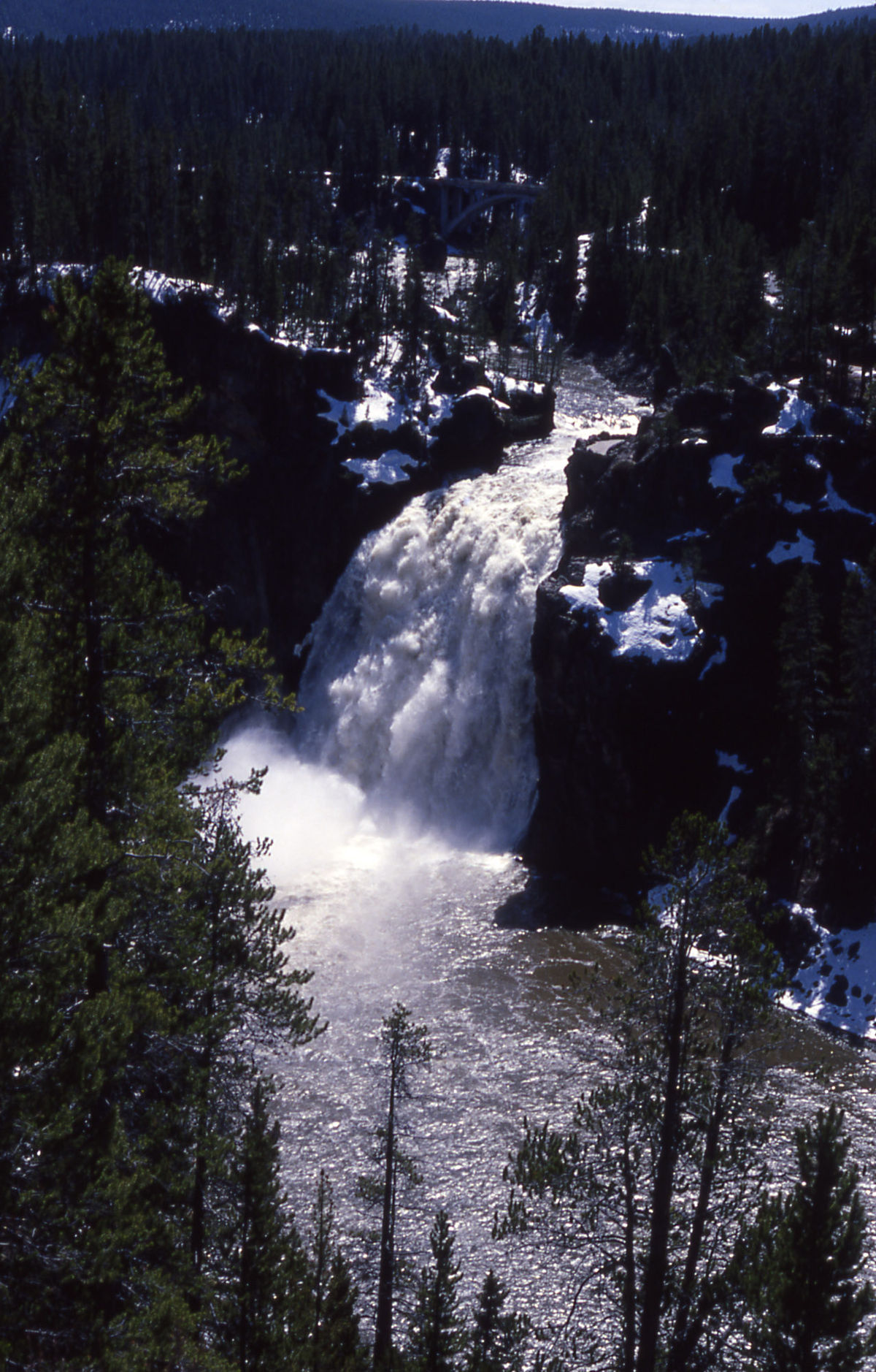 Yellowstone Falls #4
