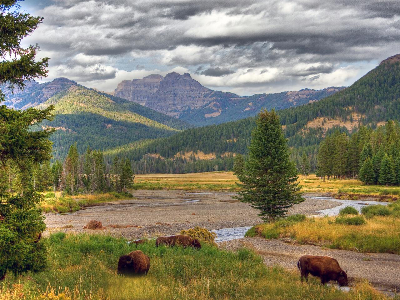 Nice wallpapers Yellowstone National Park 1280x960px