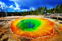 Yellowstone National Park #17
