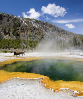 Yellowstone National Park Pics, Earth Collection