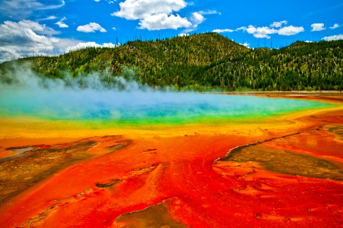 Yellowstone National Park Backgrounds, Compatible - PC, Mobile, Gadgets| 696x462 px
