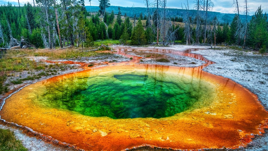 915x515 > Yellowstone National Park Wallpapers