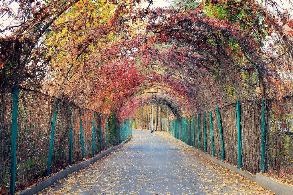 Yerevan Botanical Garden HD wallpapers, Desktop wallpaper - most viewed