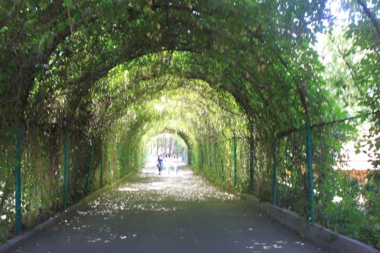 Yerevan Botanical Garden #15