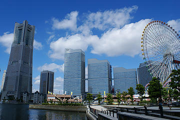 Yokohama #14
