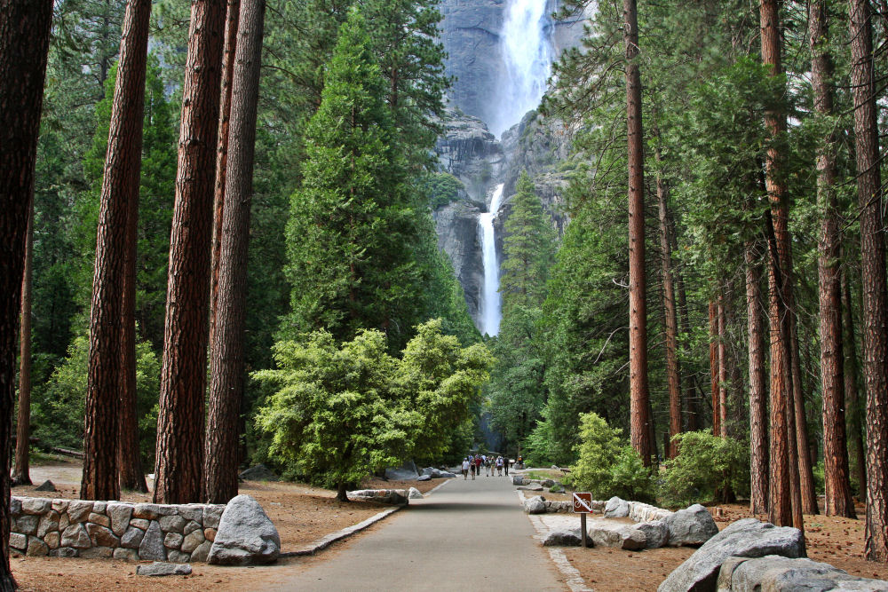 High Resolution Wallpaper | Yosemite Falls 1000x667 px