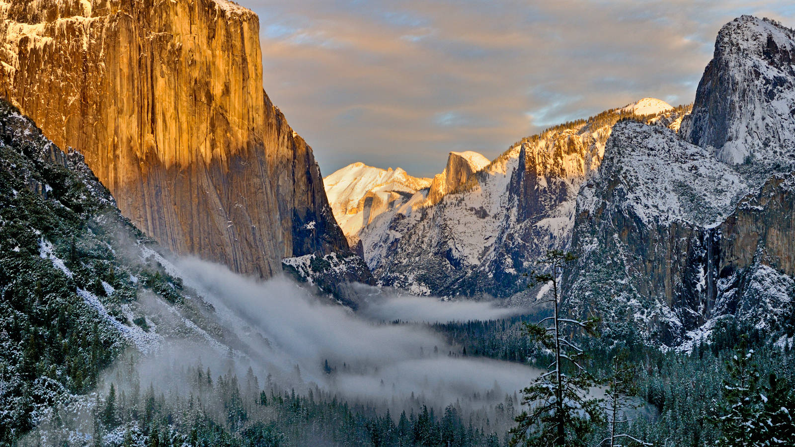 Yosemite National Park #8