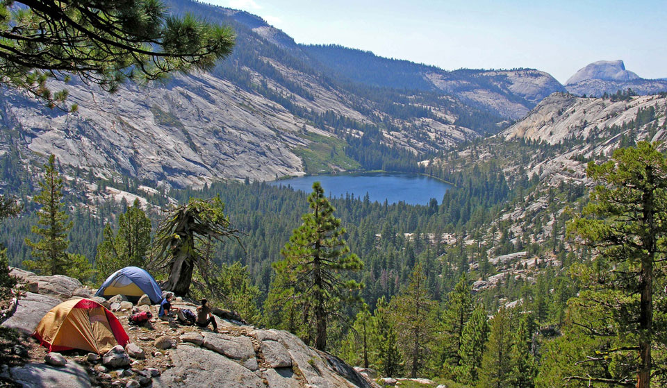 Yosemite National Park #15
