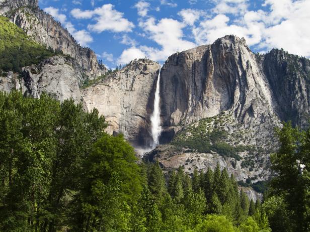 Yosemite National Park #17