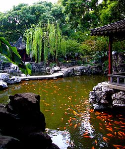 Yuyuan Garden #13