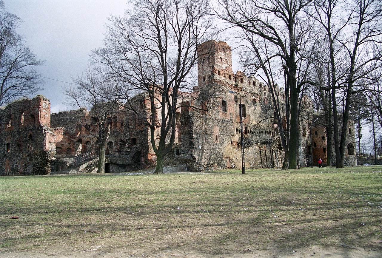 Zabkowice Slaskie Castle #4