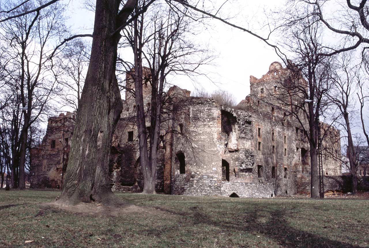 Zabkowice Slaskie Castle #6
