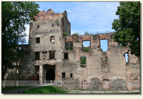 Zabkowice Slaskie Castle #17