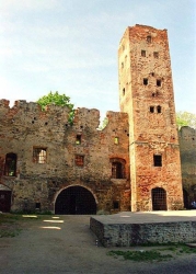 Zabkowice Slaskie Castle #22
