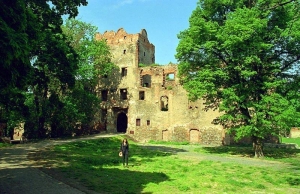 Zabkowice Slaskie Castle #23