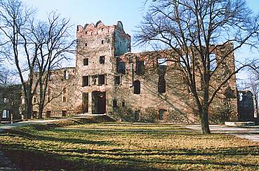 Zabkowice Slaskie Castle #13