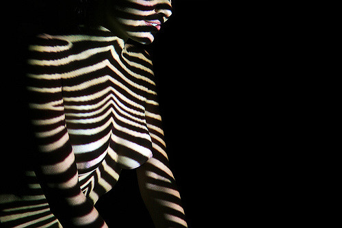 Zebra Girl #6