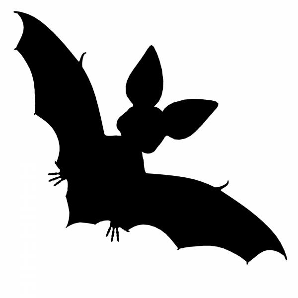 preview Black Bat
