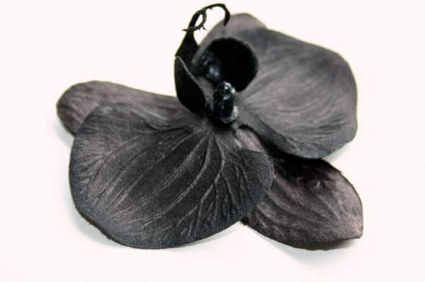 preview Black Orchid