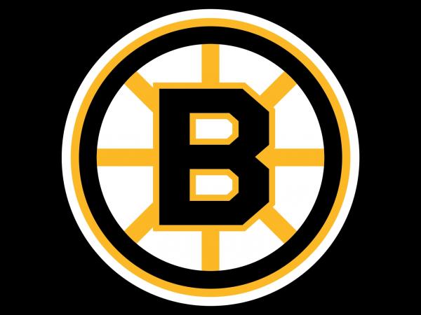 preview Boston Bruins