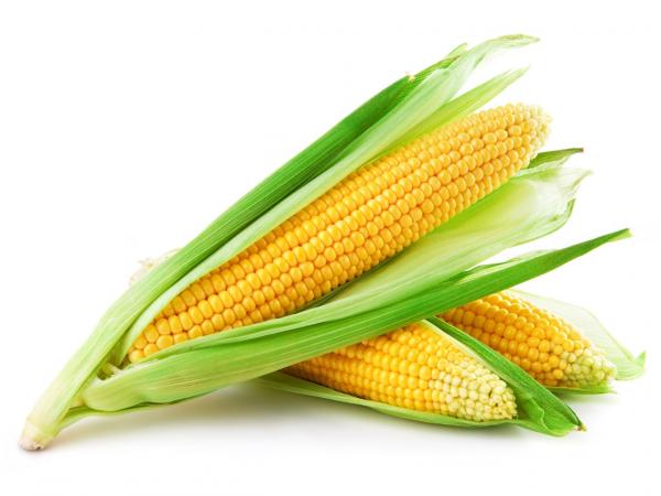 preview Corn