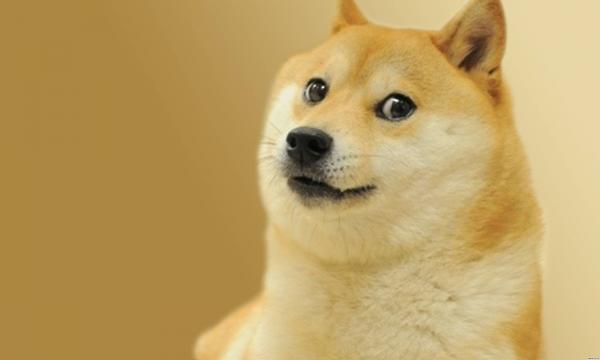 preview Doge