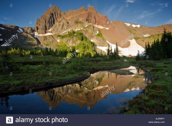 preview Mount Three Fingered Jack