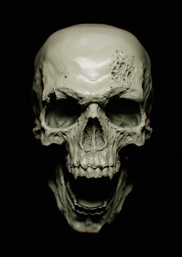 preview Skull