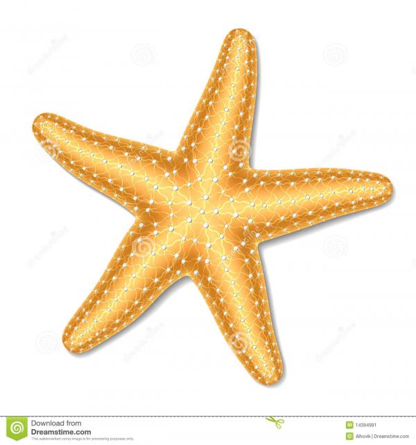 preview Starfish